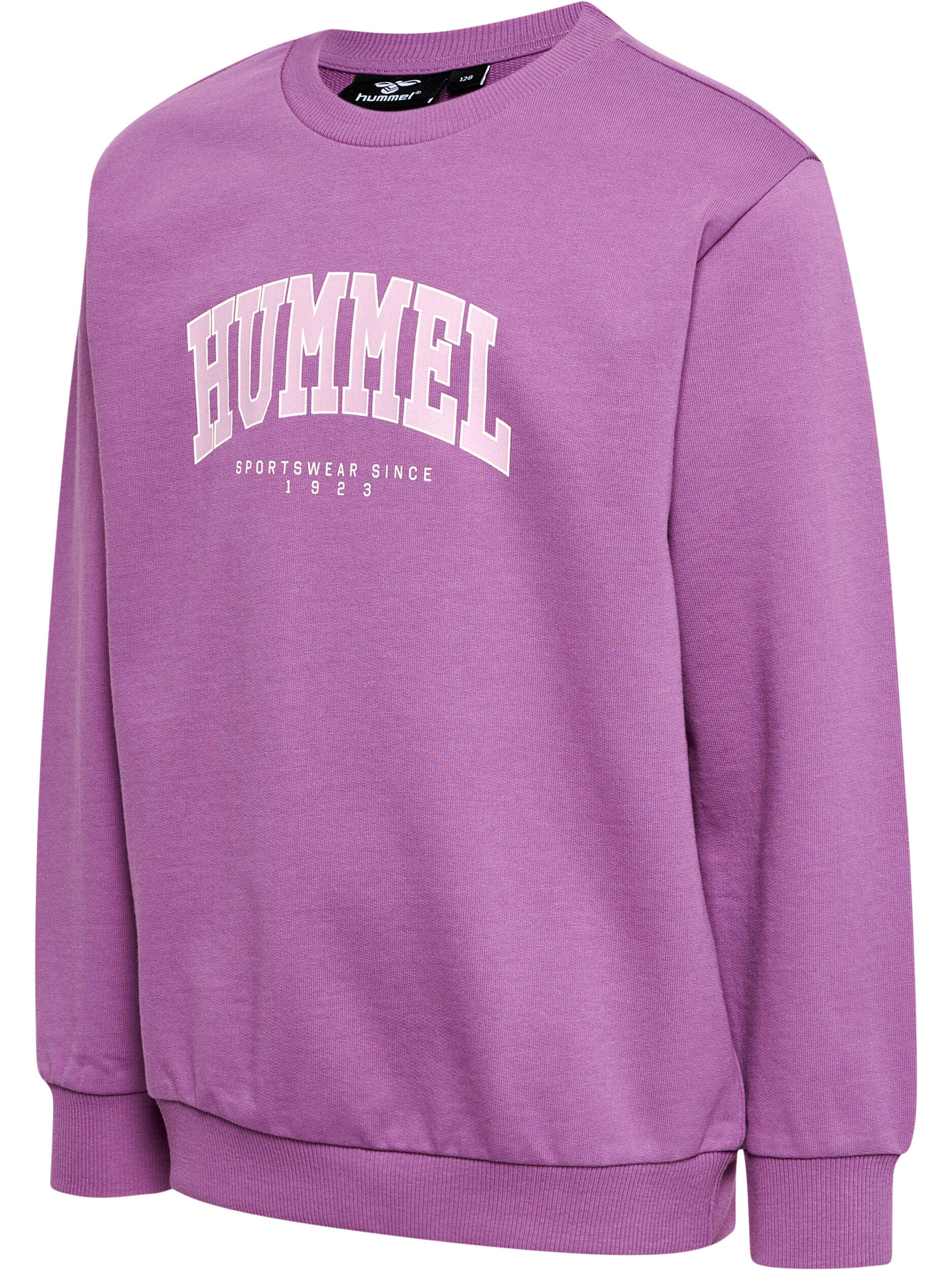 Enfiler Sweat-Shirt Hmlfast Garçon 7/7