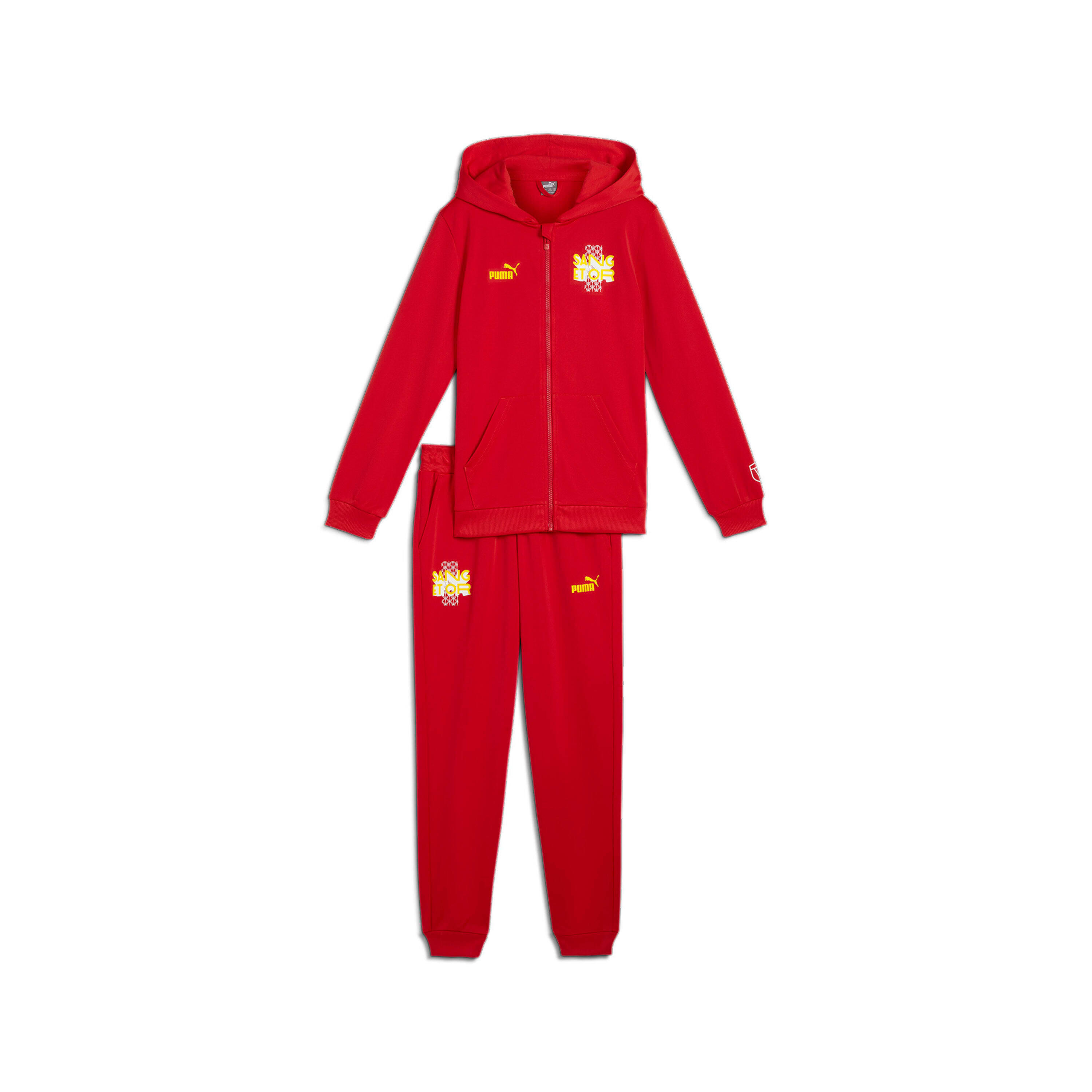 Kinder trainingspak Puma RC Lens ftblCULTURE 1/2