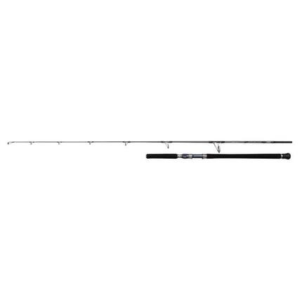 Canne mer casting Penn Battalion 30-180g