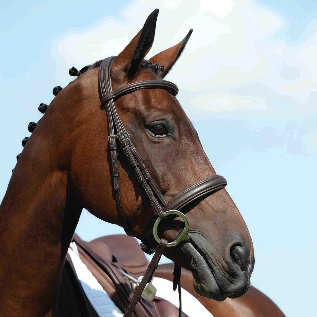 Cavesson high bridles Weatherbeeta Collegiate Syntovia+