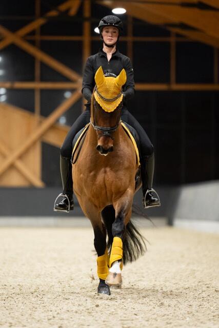 Eskadron Tendon Boots Faux Leder Platinum 25 Yellow 6/6