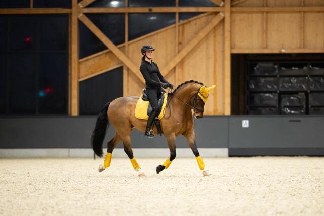 Eskadron Tendon Boots Faux Leder Platinum 25 Yellow 4/6