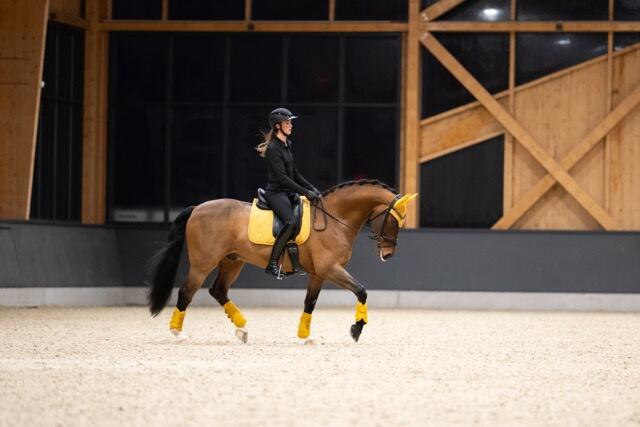 Eskadron Tendon Boots Faux Leder Platinum 25 Yellow 2/6