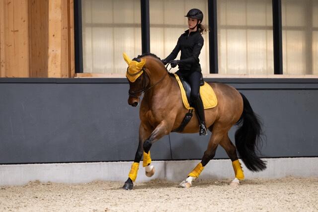 Eskadron Tendon Boots Faux Leder Platinum 25 Yellow 3/6