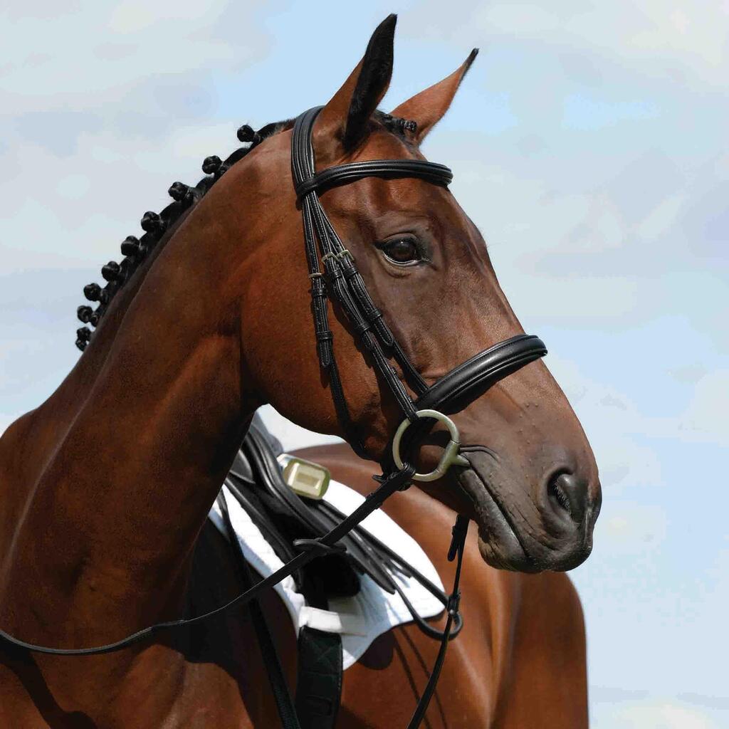 Cavesson high bridles Weatherbeeta Collegiate Syntovia+