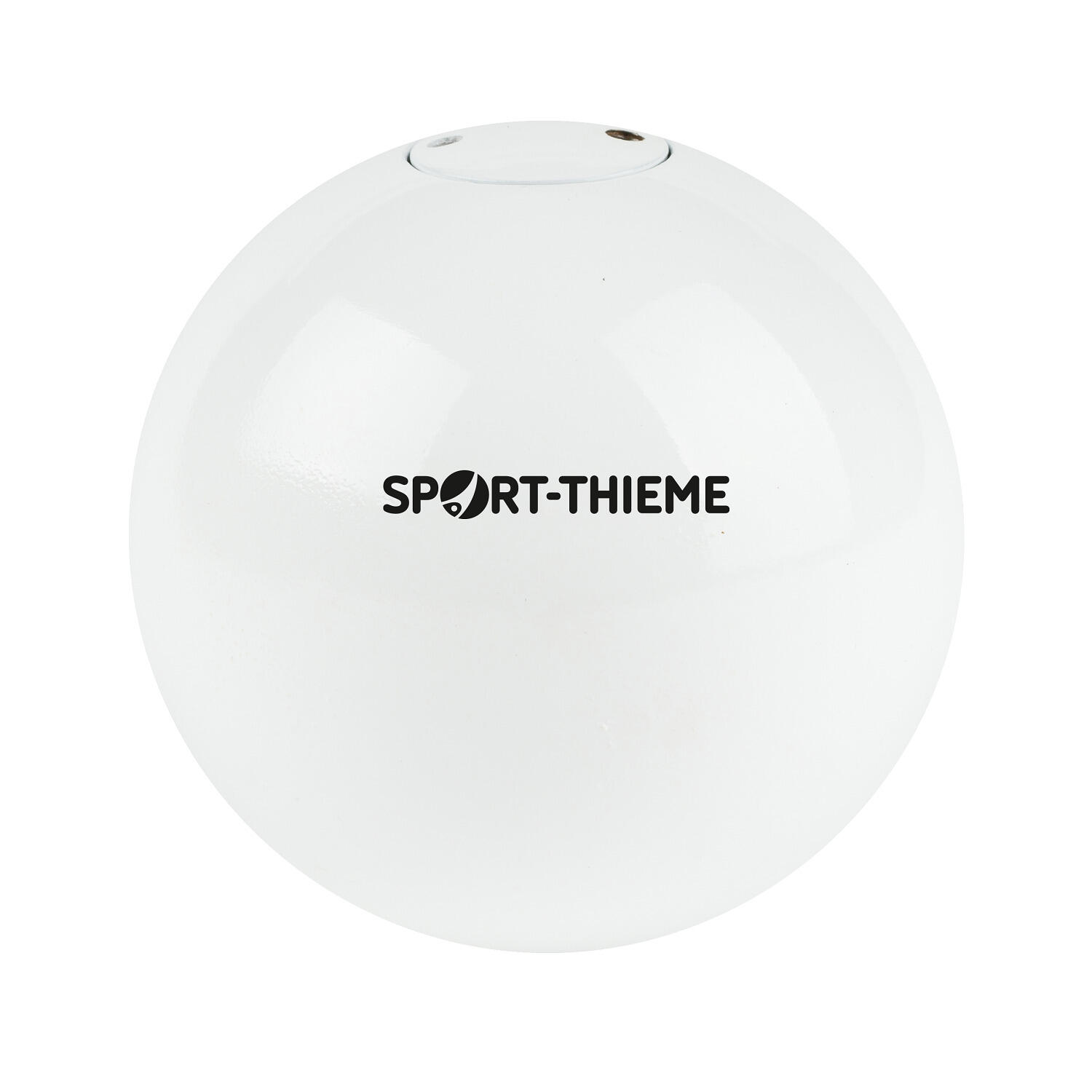 SPORT-THIEME picture