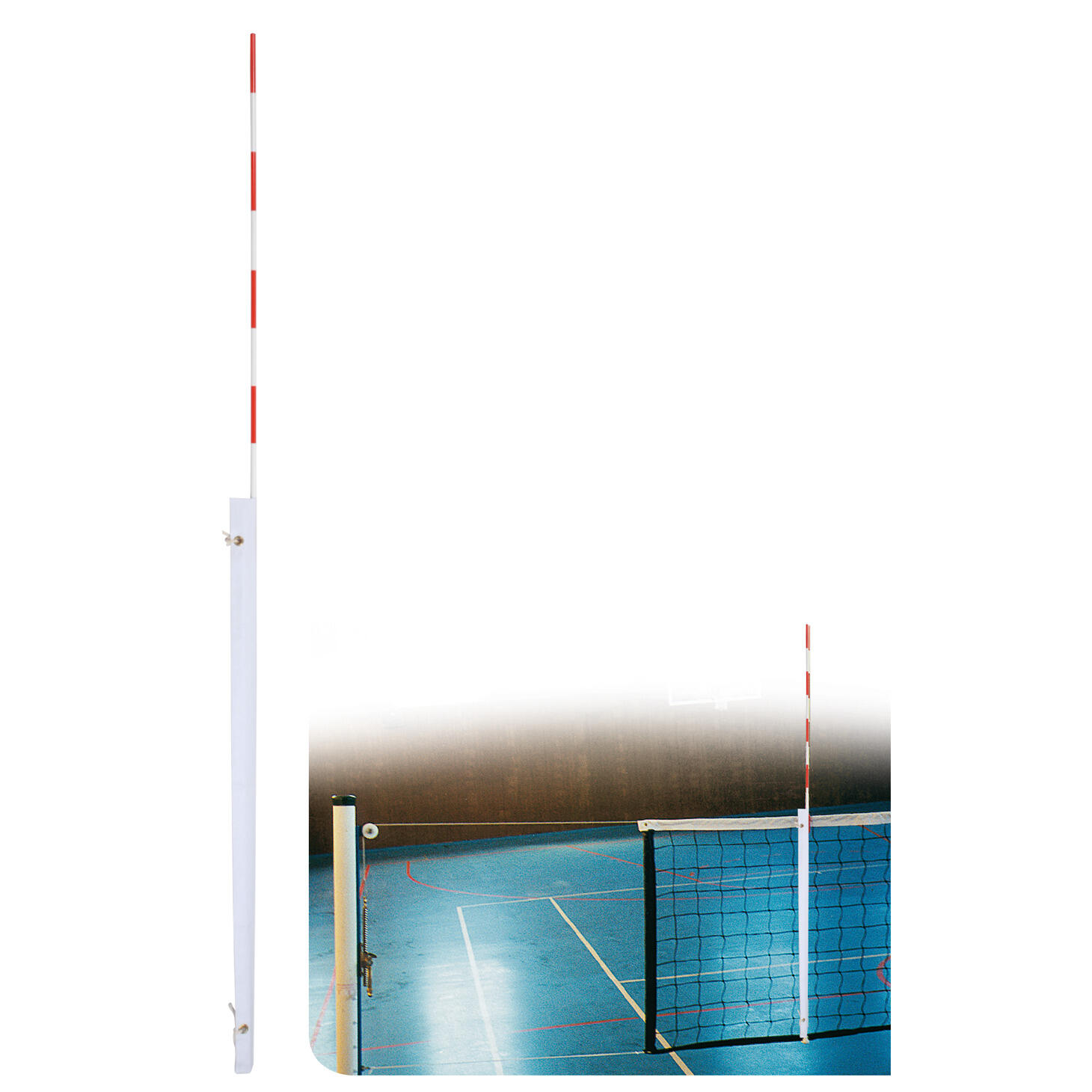 SPORTI FRANCE picture