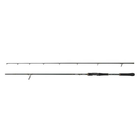 Asta da lancio Abu Garcia Beast X2 862 XHP 50-140 g