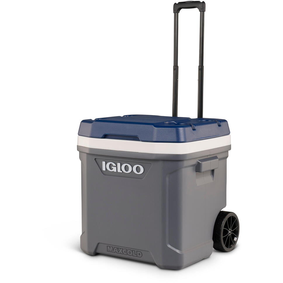 Lodówka (na kółkach) IGLOO Latitude MaxCold 62