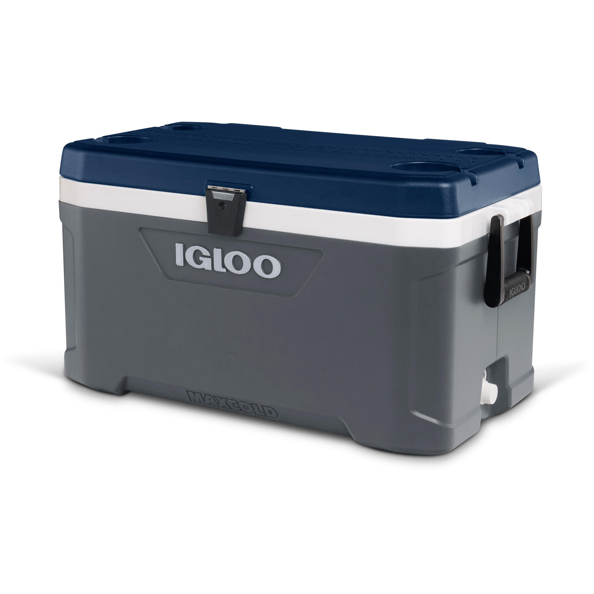 IGLOO picture