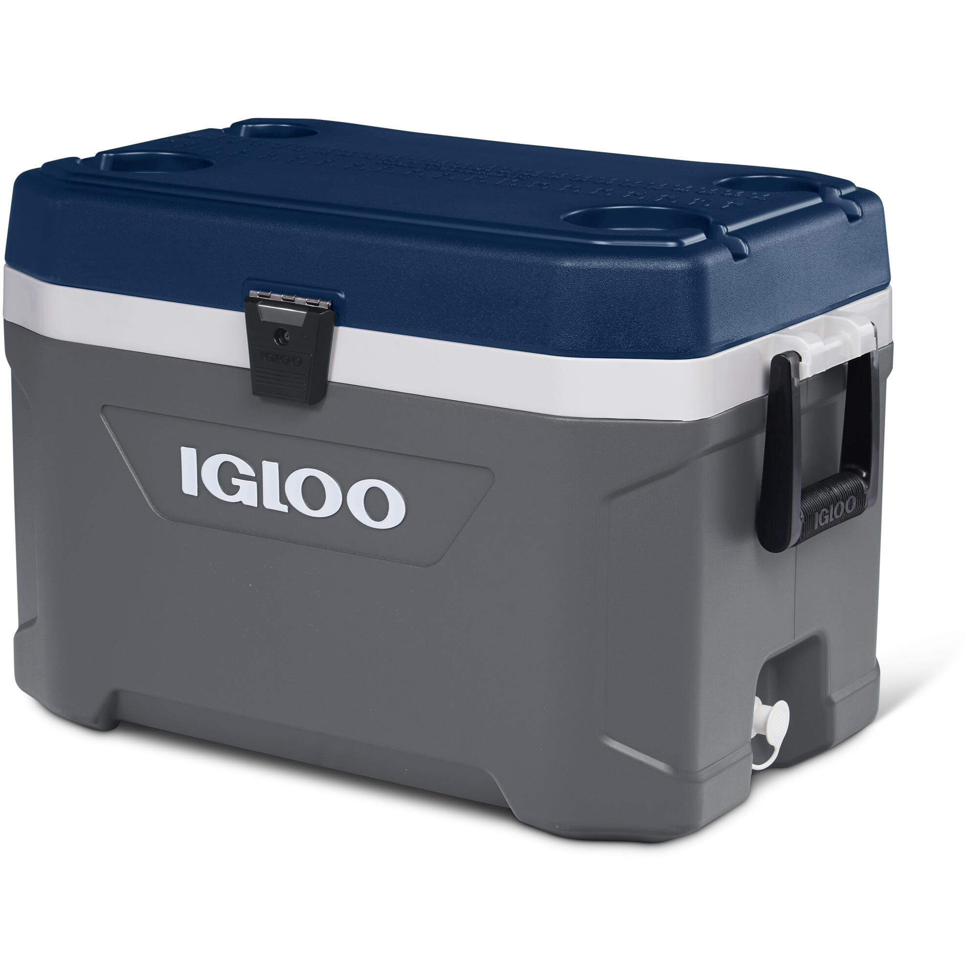 IGLOO picture