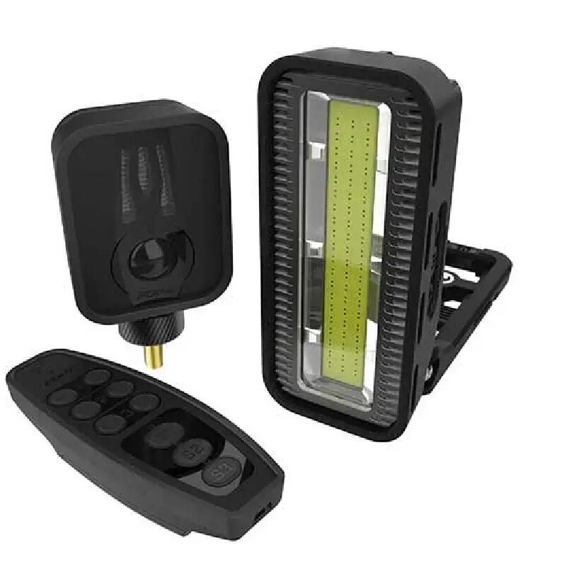 RX detector kit with security system Fox