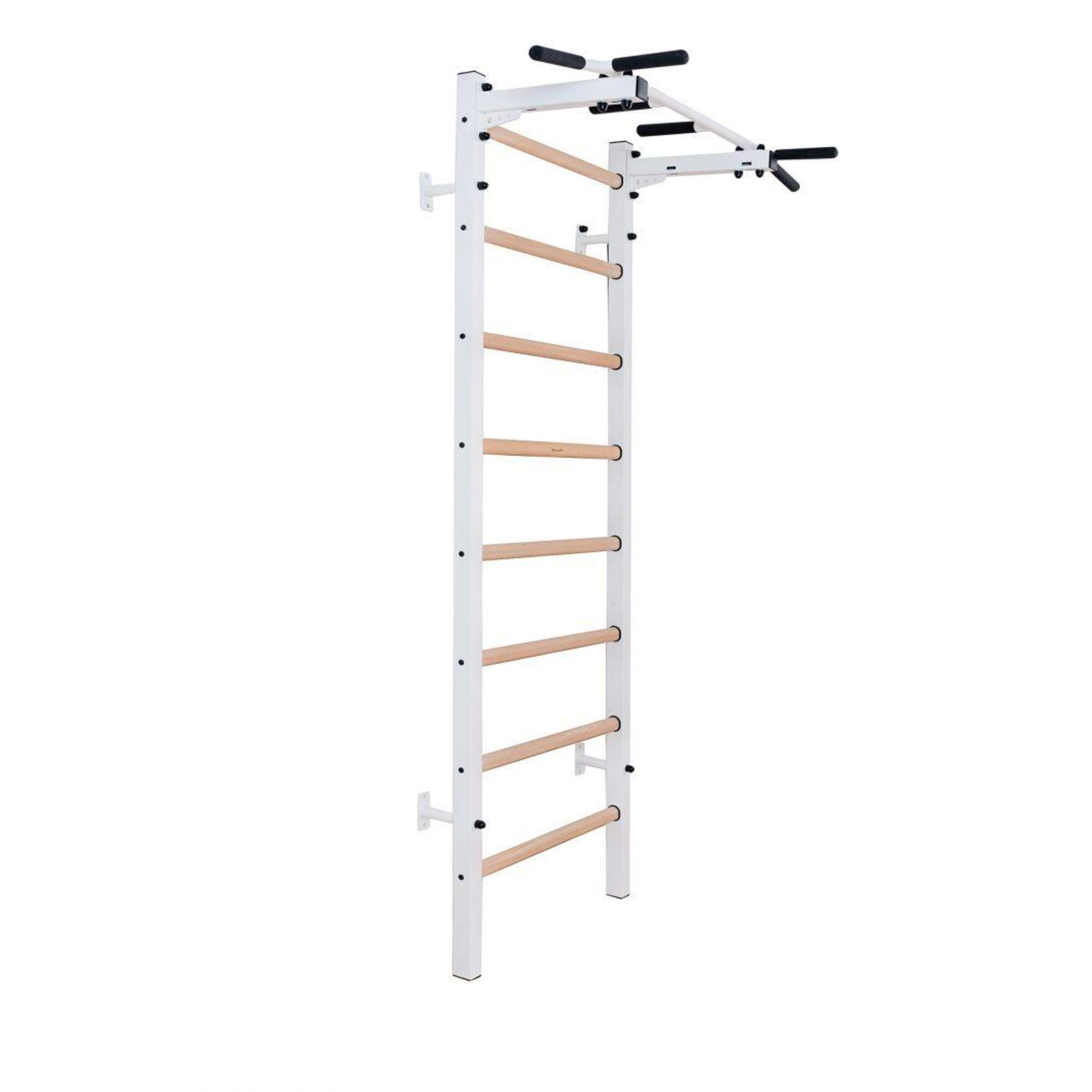 Sistema Espalier 221W