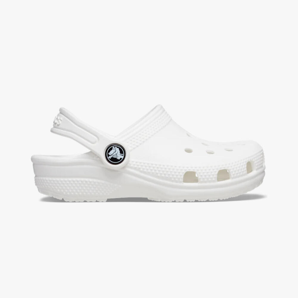 CROCS picture