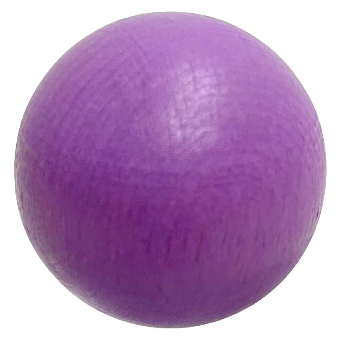 Bouleset couleur violet clair-1 boule aimantée-1 traceur de terrain-1 cochonnet 6/7