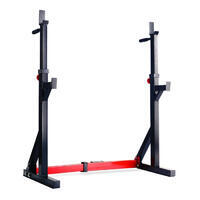 Titanium Strength Squat Rack / Dip Stand (272kg)