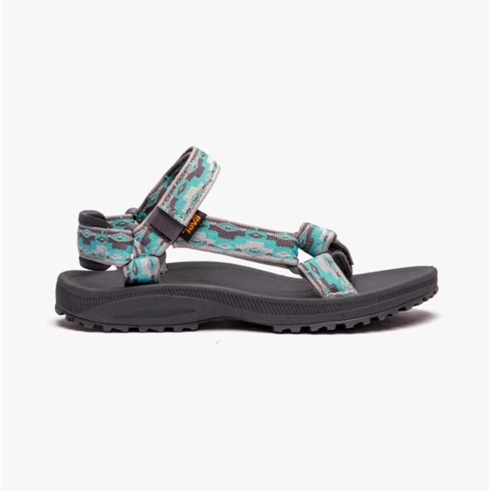 TEVA picture
