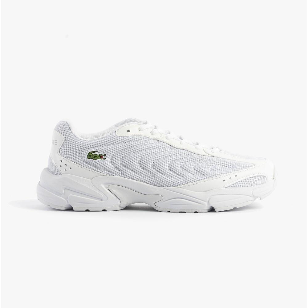 LACOSTE picture