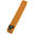 Ceinture de judo Mizuno RB