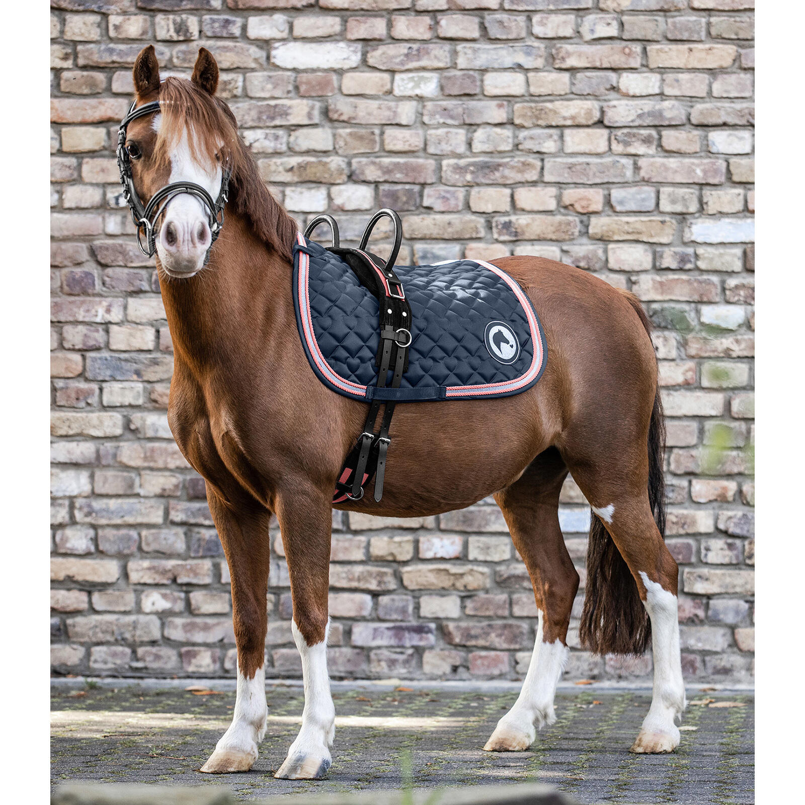 Pferde-Surfaix mit zwei Griffen Waldhausen 3/3