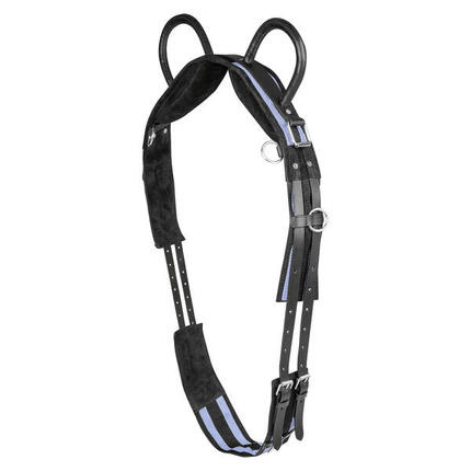 Surfaix pour cheval à deux poignées Waldhausen