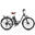 Bicicletă electrică 28" 250W 36V13Ah APP Baterie detașabilă-EVERCROSS EK31
