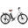 Bicicletă electrică 28" 250W 36V13Ah APP Baterie detașabilă-EVERCROSS EK31