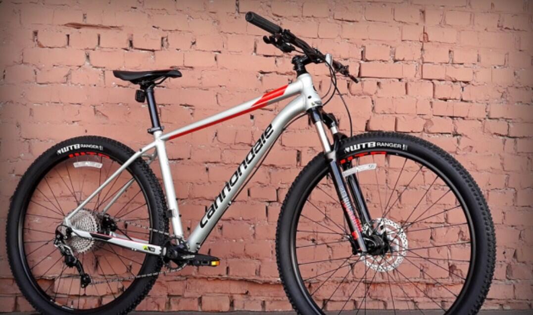 Entre Particuliers - Cannondale 29'er MTB 'trial' _ XXL 2/6