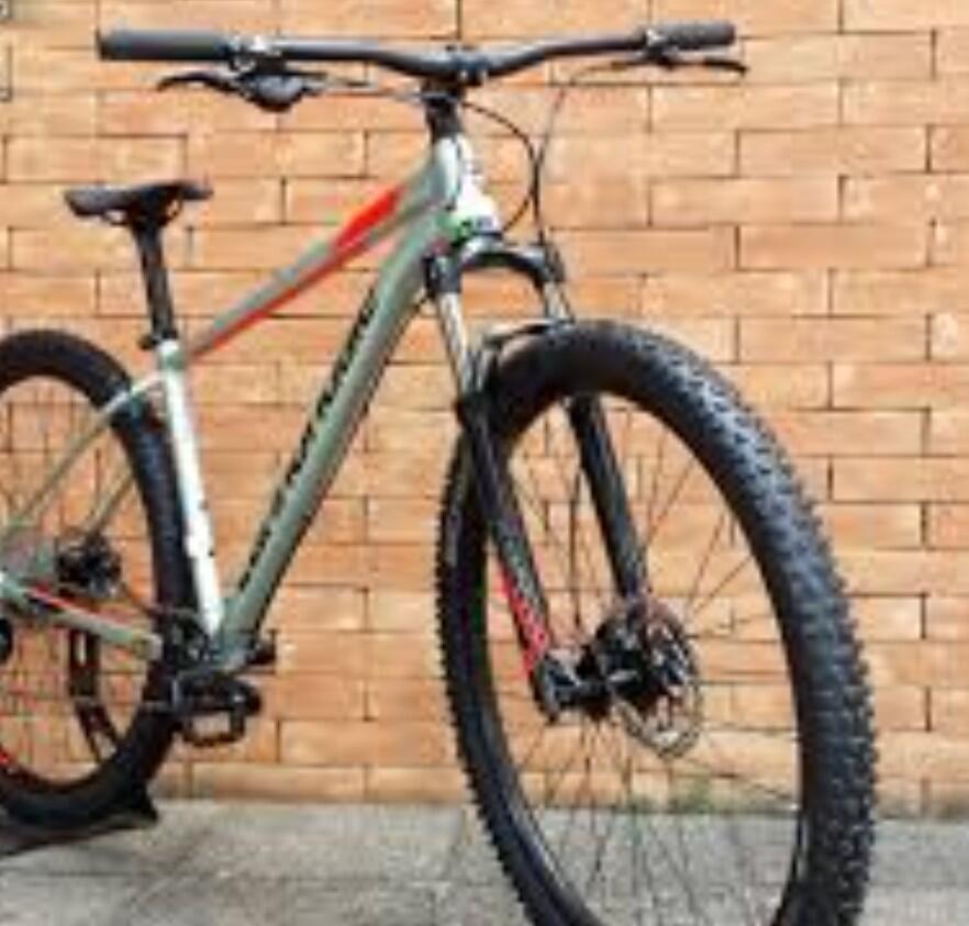 CANNONDALE picture