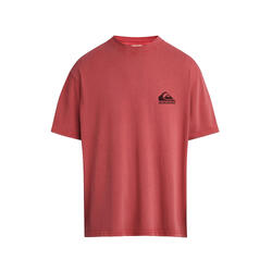 T-shirt de randonnée Quiksilver Nd Landscape pour homme