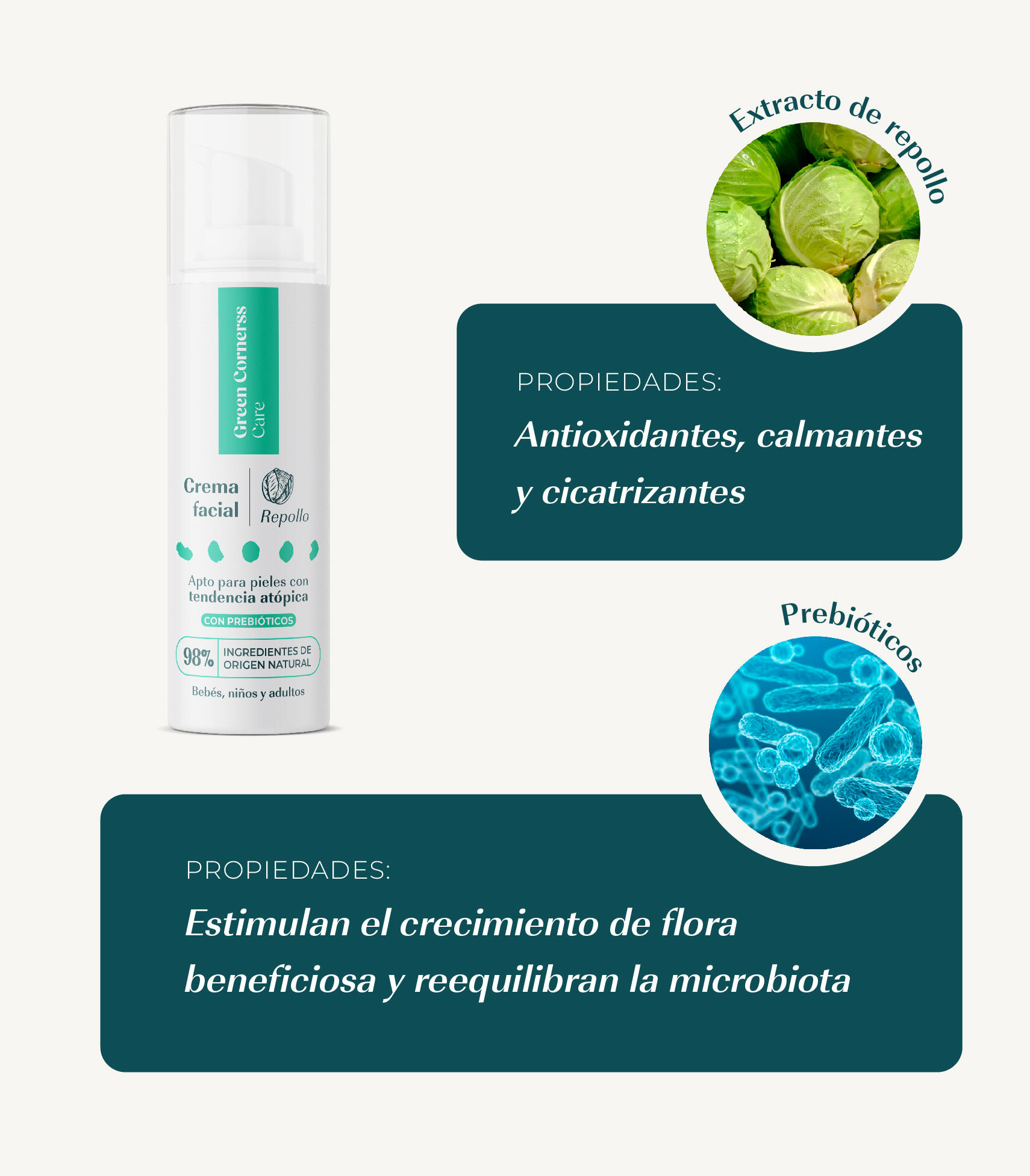 CREMA FACIAL DE REPOLLO 4/7