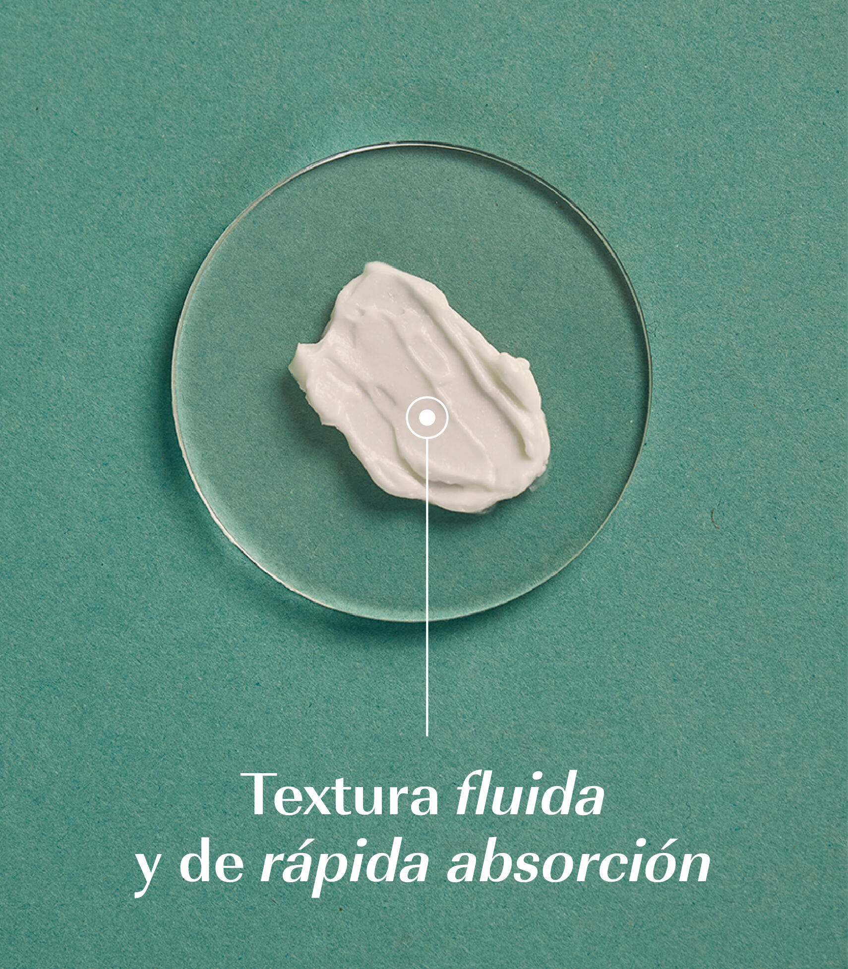 CREMA FACIAL DE REPOLLO 3/7