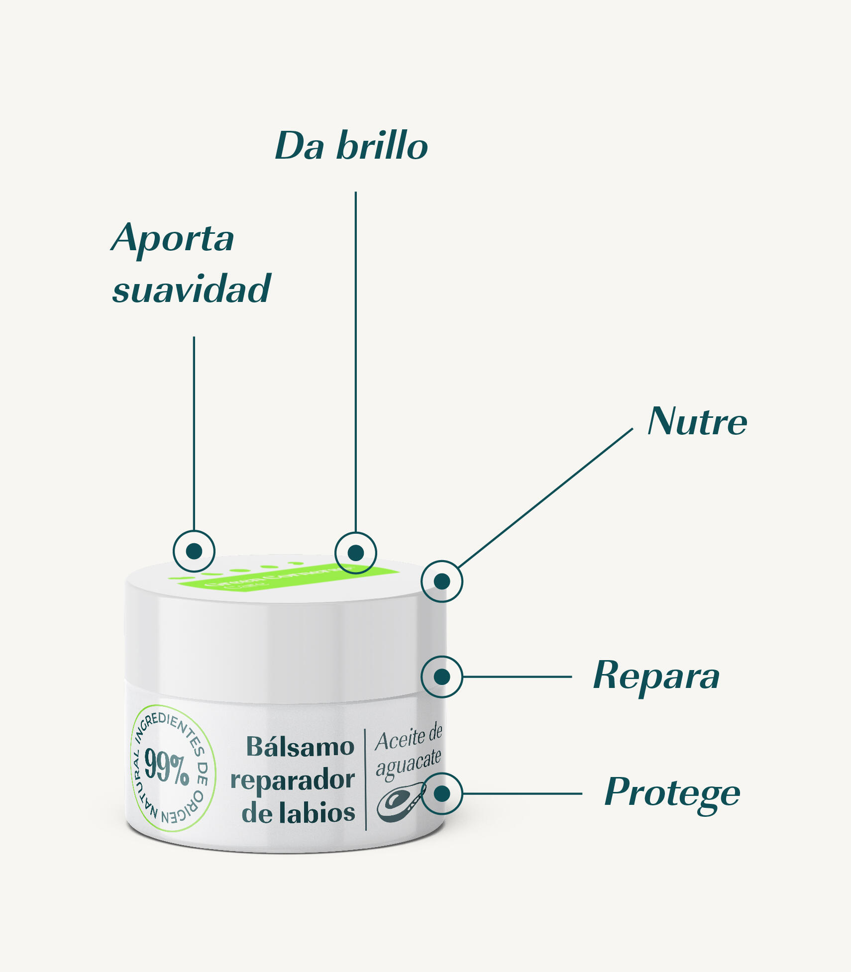 BÁLSAMO LABIAL REPARADOR DE AGUACATE 5/7