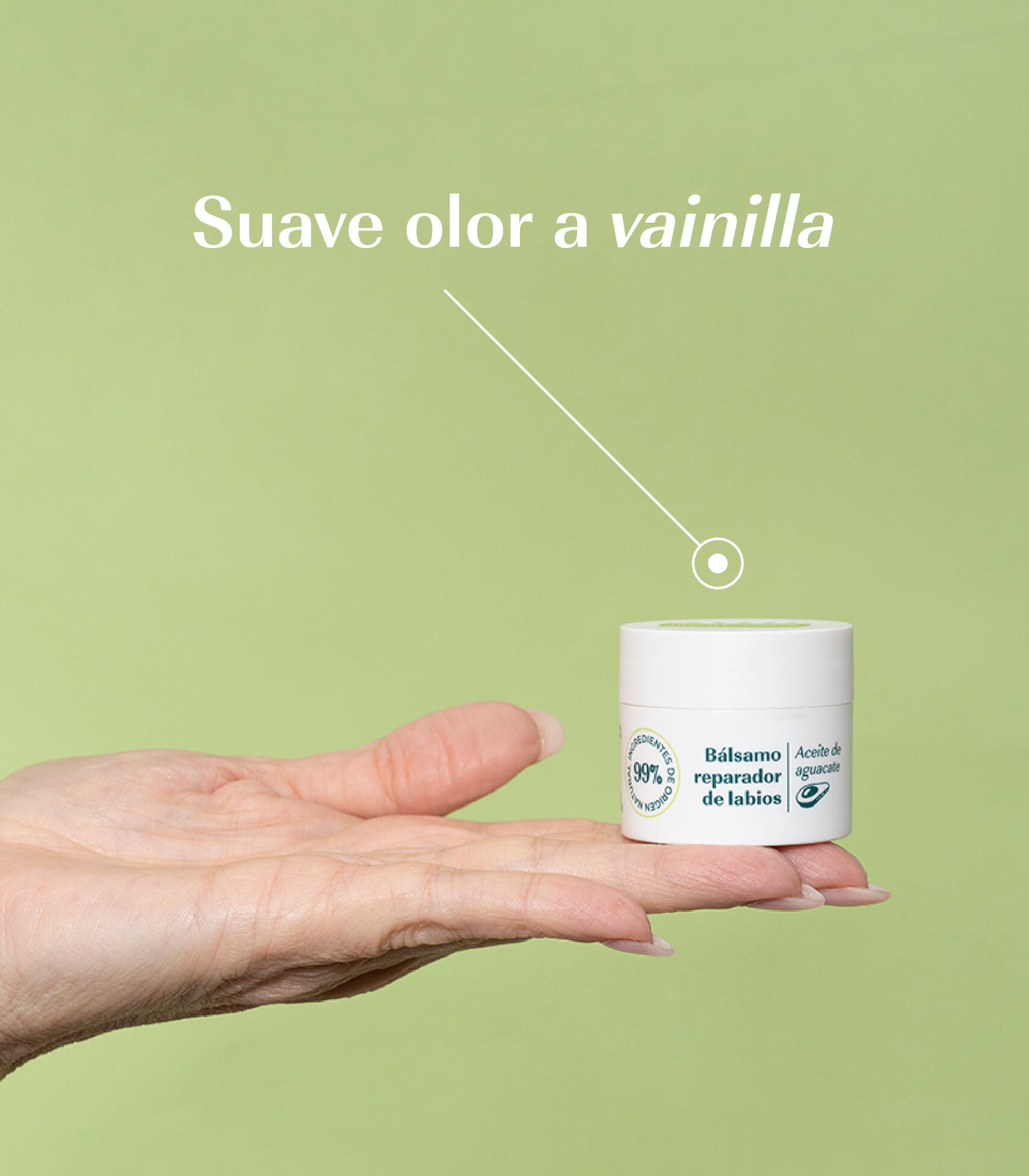BÁLSAMO LABIAL REPARADOR DE AGUACATE 3/7