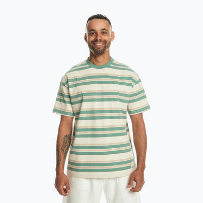 Heren t-shirt quiksilver eco yd stripe tee
