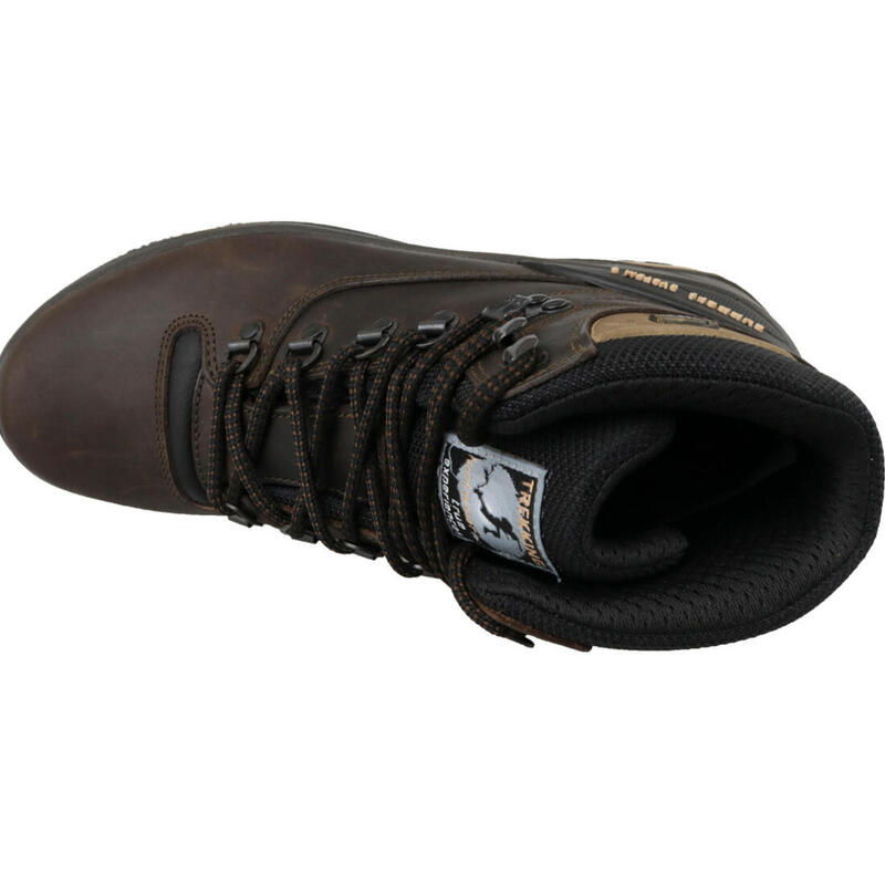 Chaussures randonnée Homme Grisport Marrone Dakar 11205D15G marron