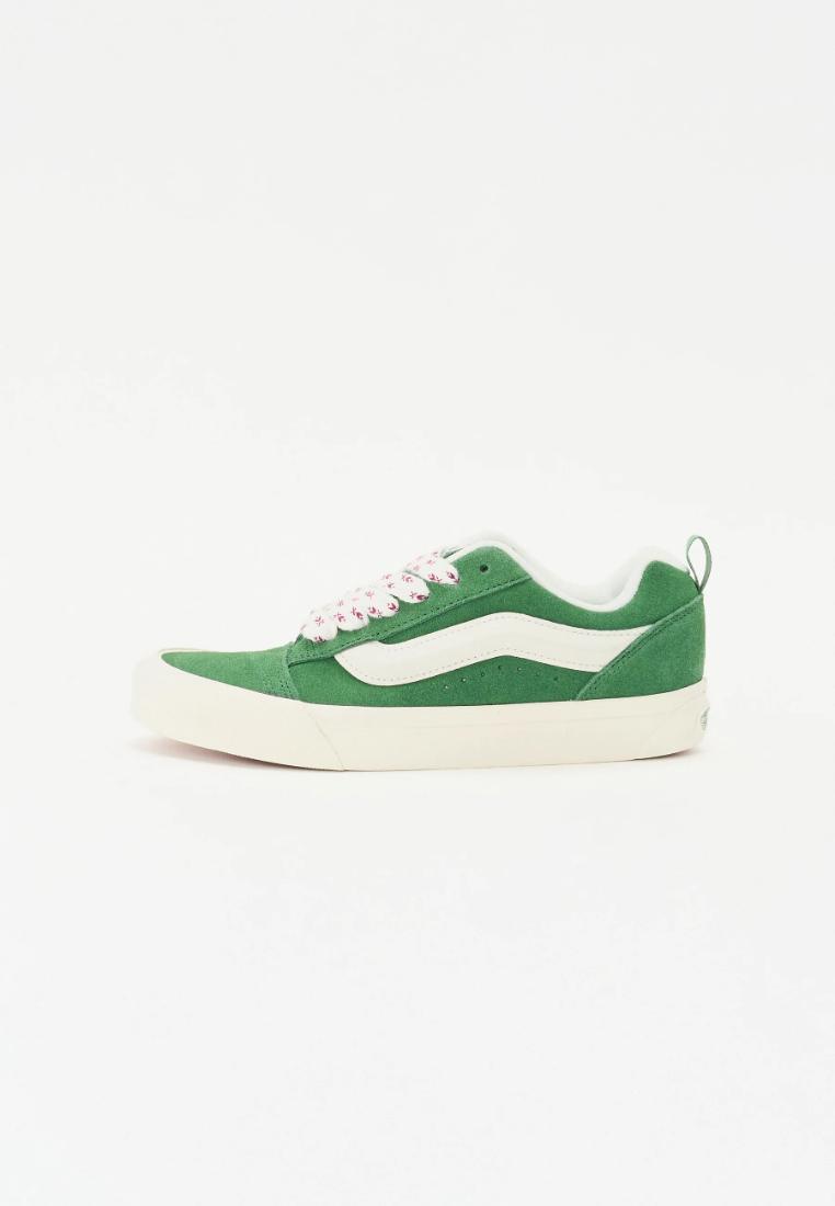 VANS picture