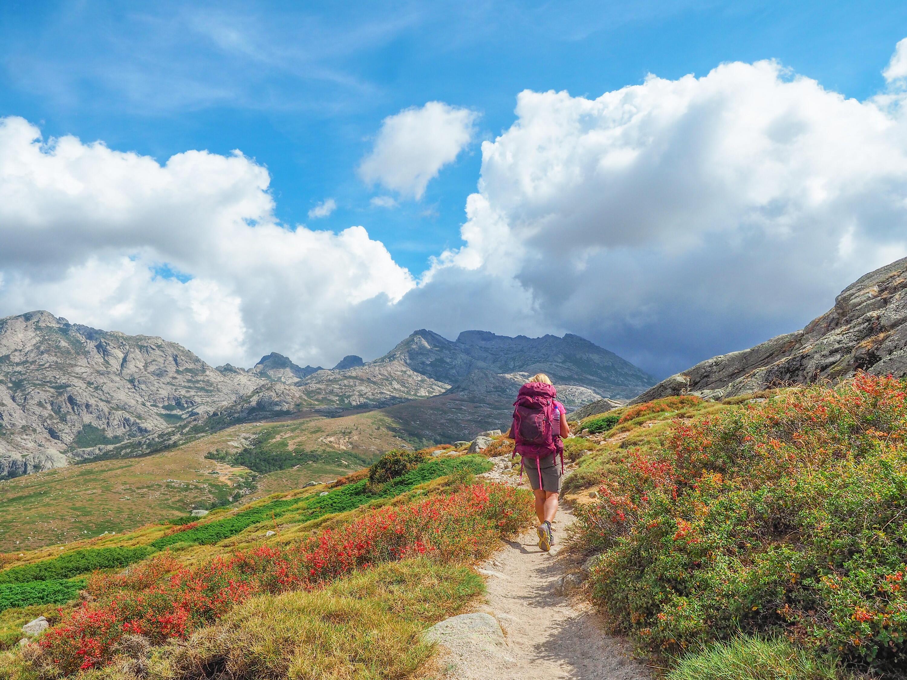 DECATHLON TRAVEL picture