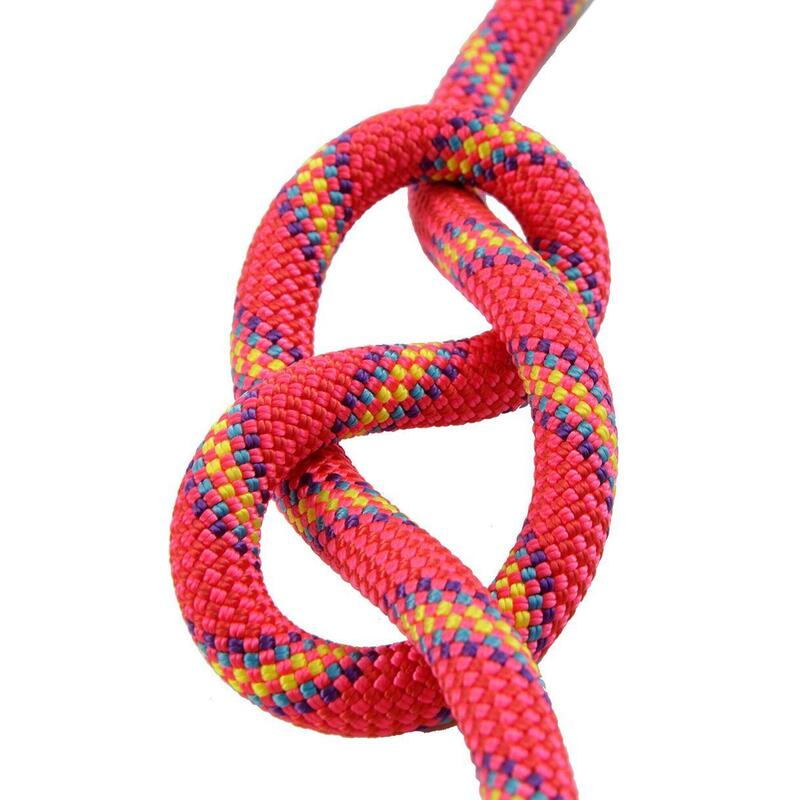 Corda dinamică Beal Virus 10 mm 60 m roz