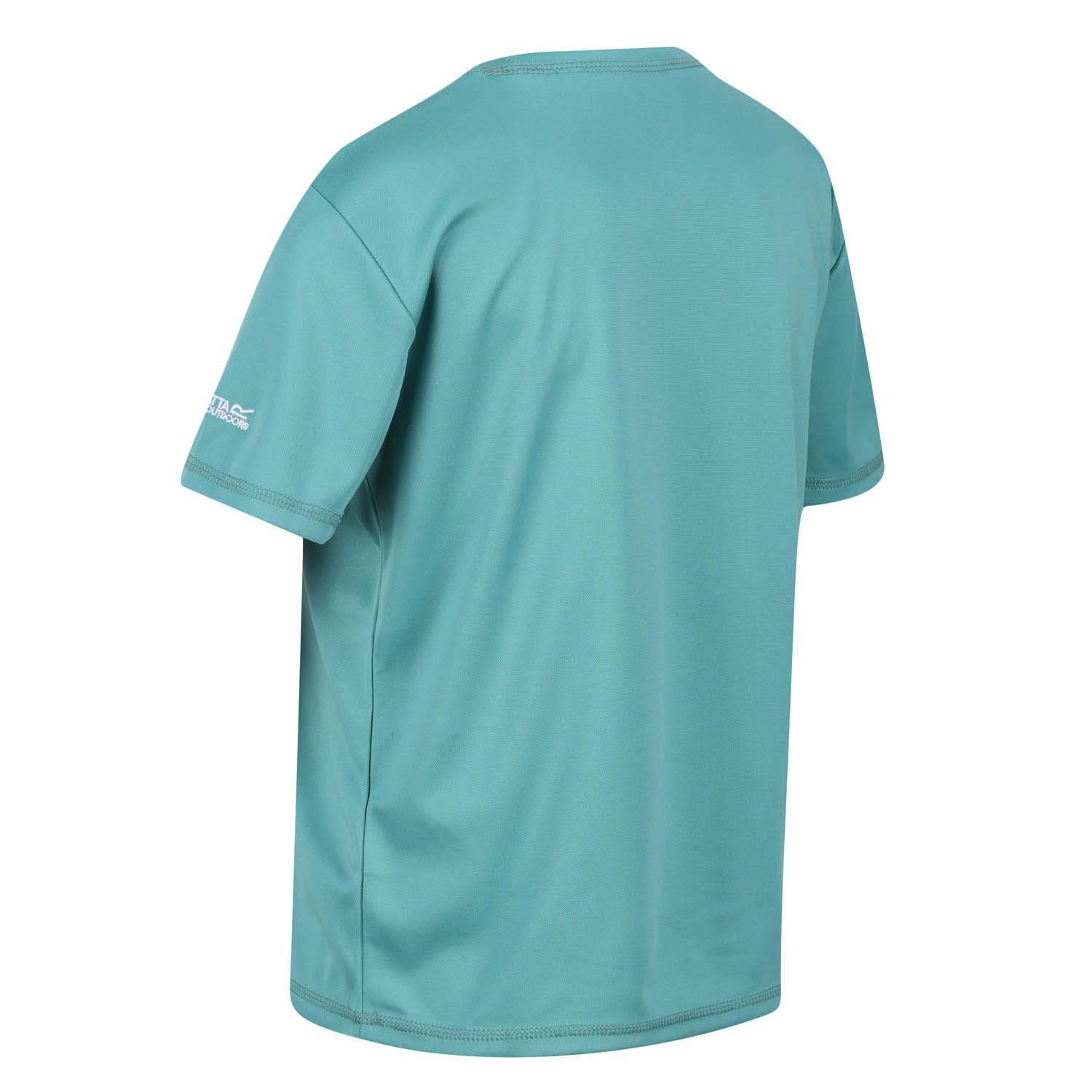 Childrens/Kids Alvarado VII Mountain TShirt (Bristol Blue) 4/5