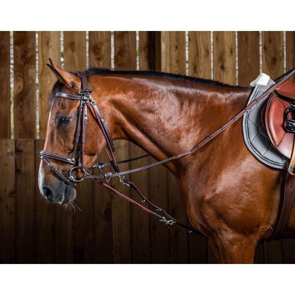 Nylon horse bridle accessory Dy'on Gogue