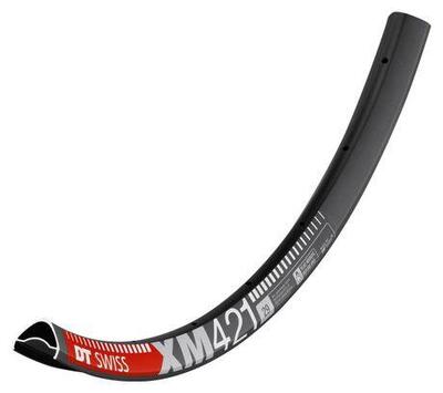 Cerchio DT Swiss XM 421 Disc 29 '' nero
