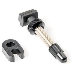 Valve tubeless DT Swiss R6.5 Road - kit noir