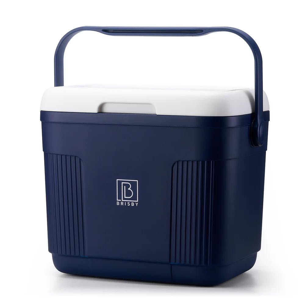 Brisby Koelbox  22Liter Blauw 5/6