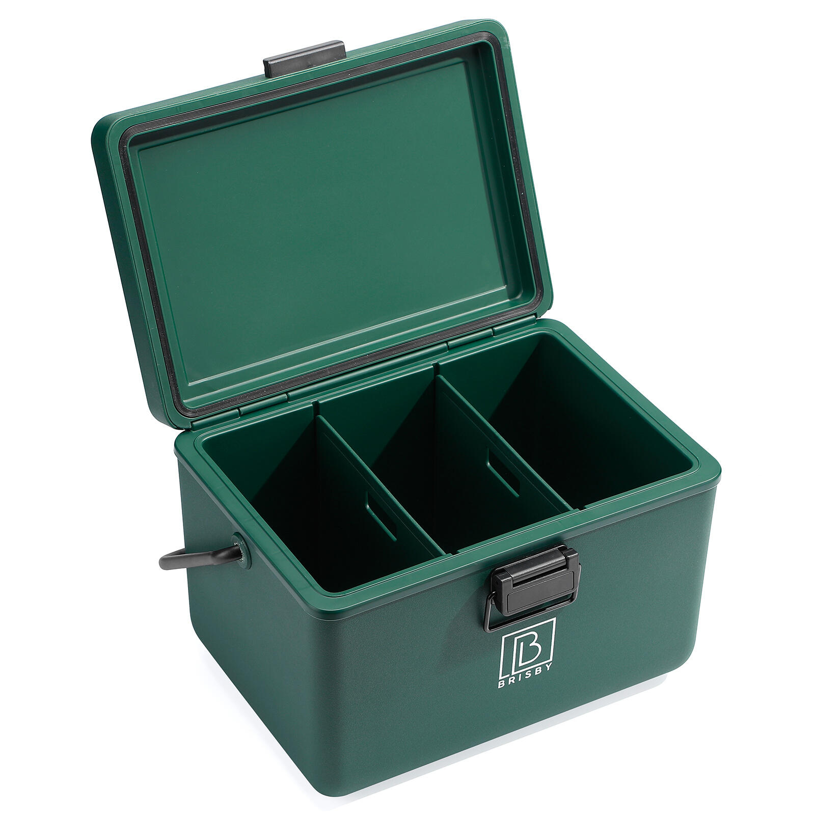 Glacière Brisby 12L Vert 6/6