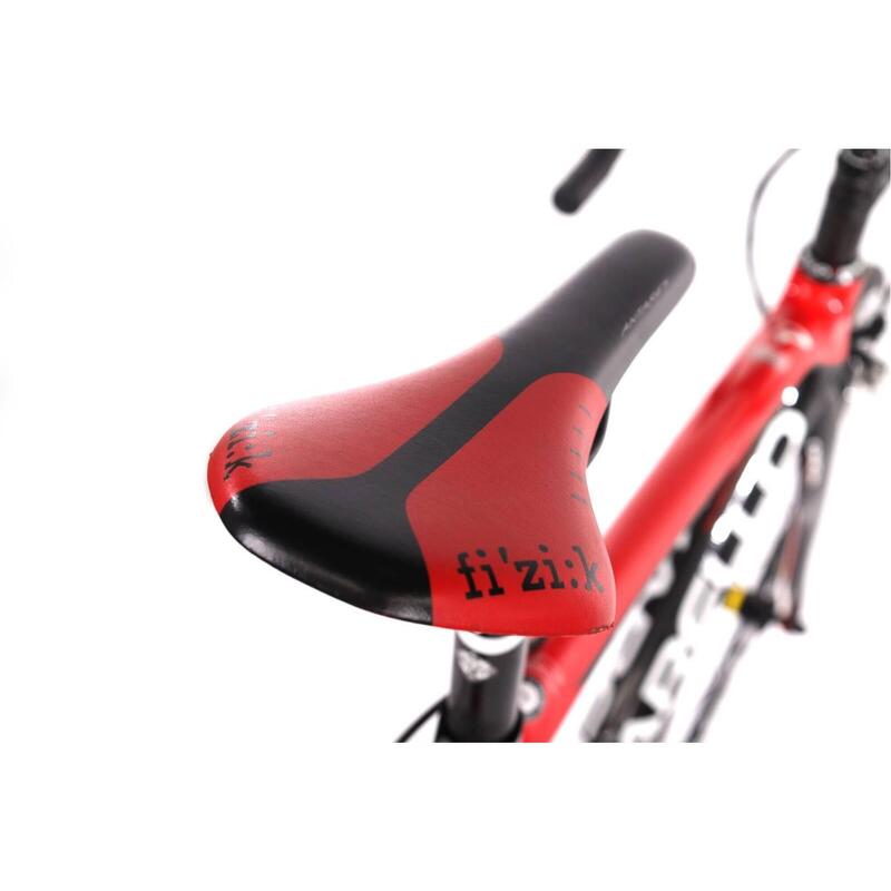 Second Life - Rower szosowy - Pinarello Razha - Stan Dobry
