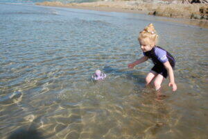 TWF Pirate and Seahorse 2mm Kids Summer Shorty Wetsuit 4/7