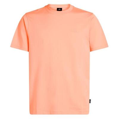 T-Shirt angenehm weich Herren - Small Logo T-Shirt