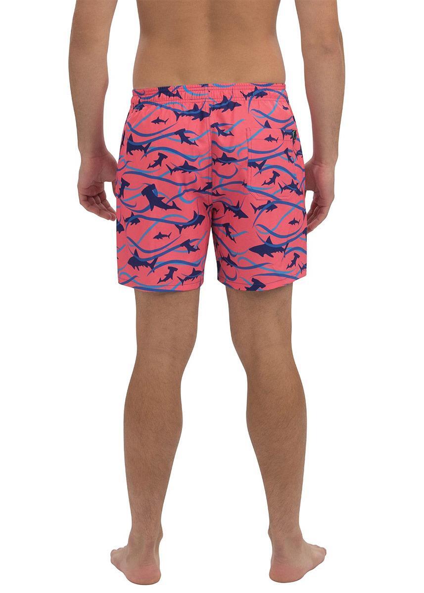 Pantaloncini da surf Dolfin Finn Shorty - Taglia XL 3/5