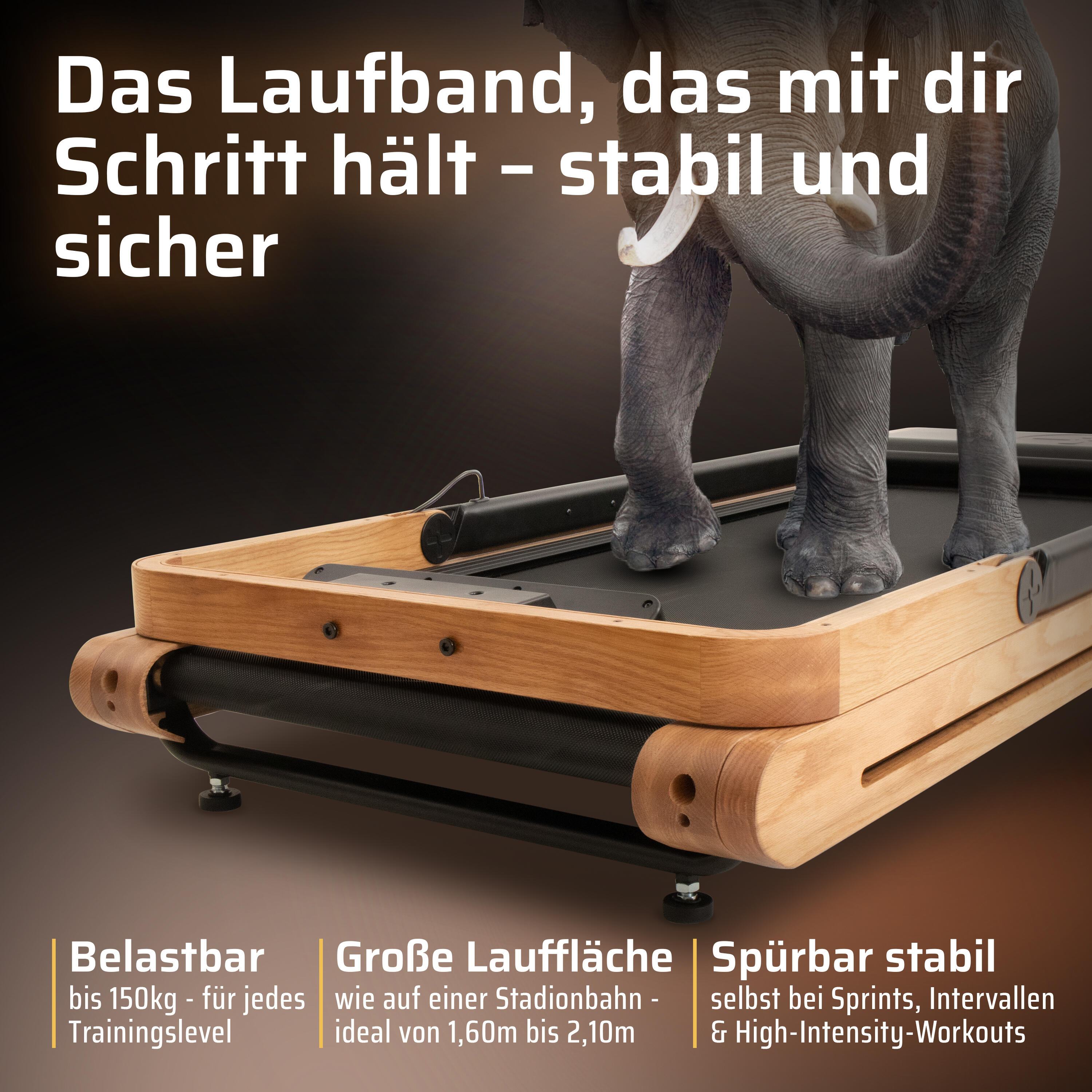 SportPlus Holzlaufband, faltbar, App-Kompatibilität, FSC®-zertifiziert 5/7